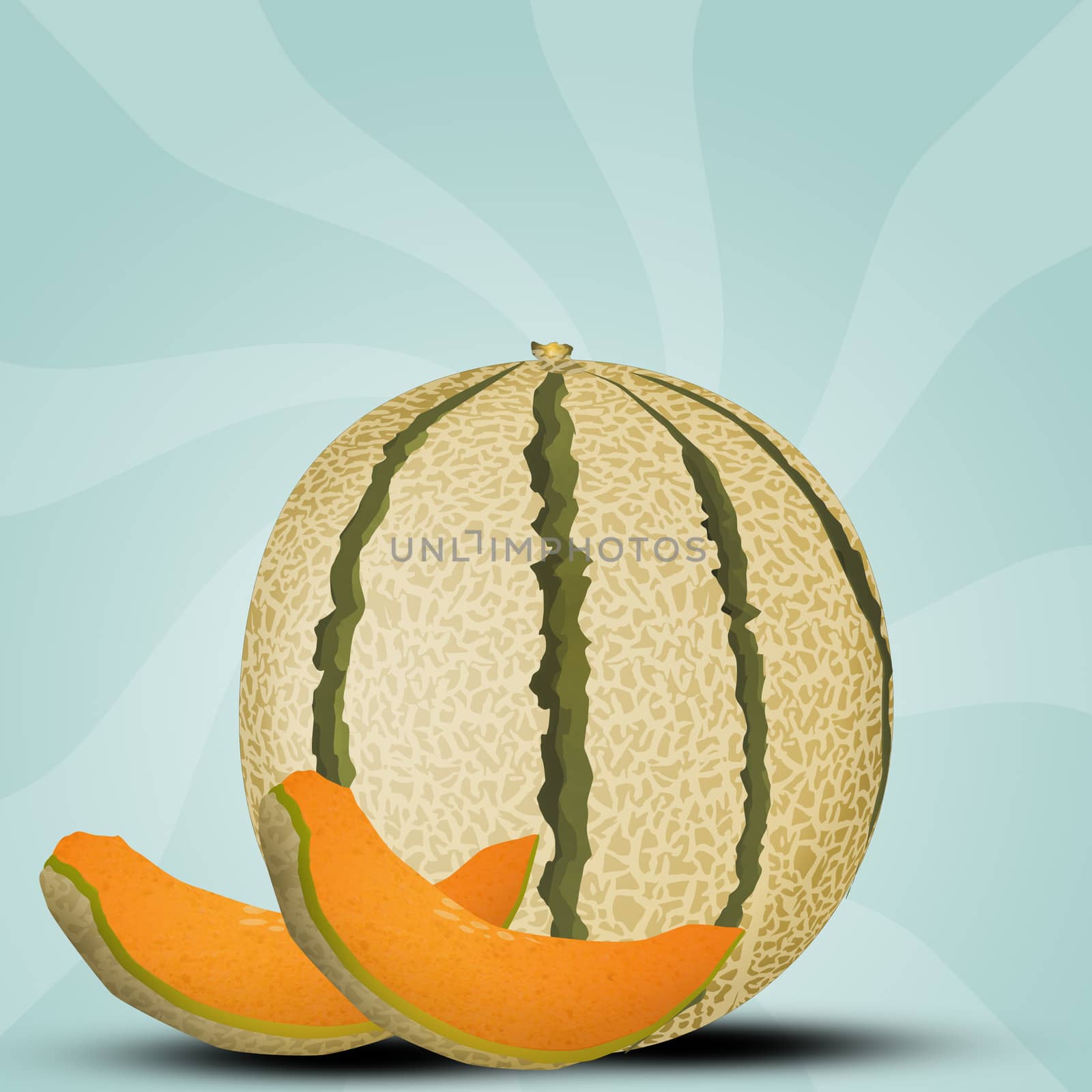 illustration of melon by adrenalina