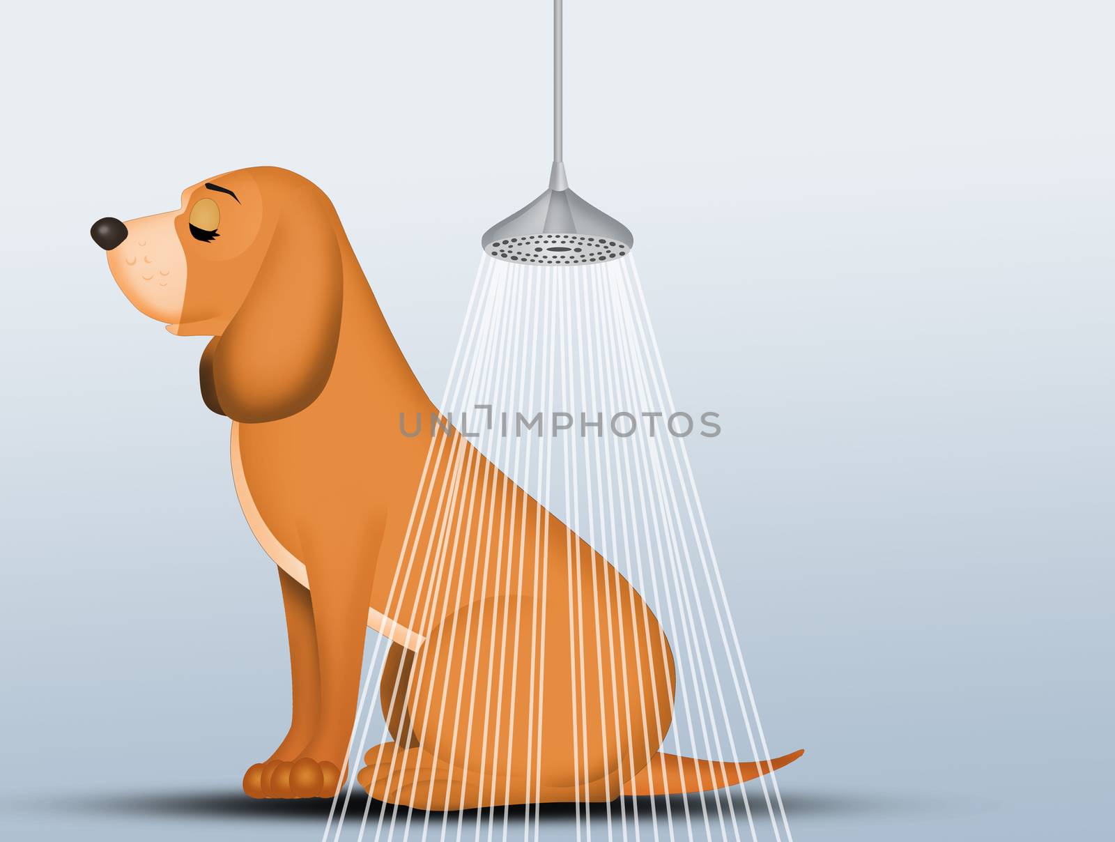 illustration of how to wash the dog