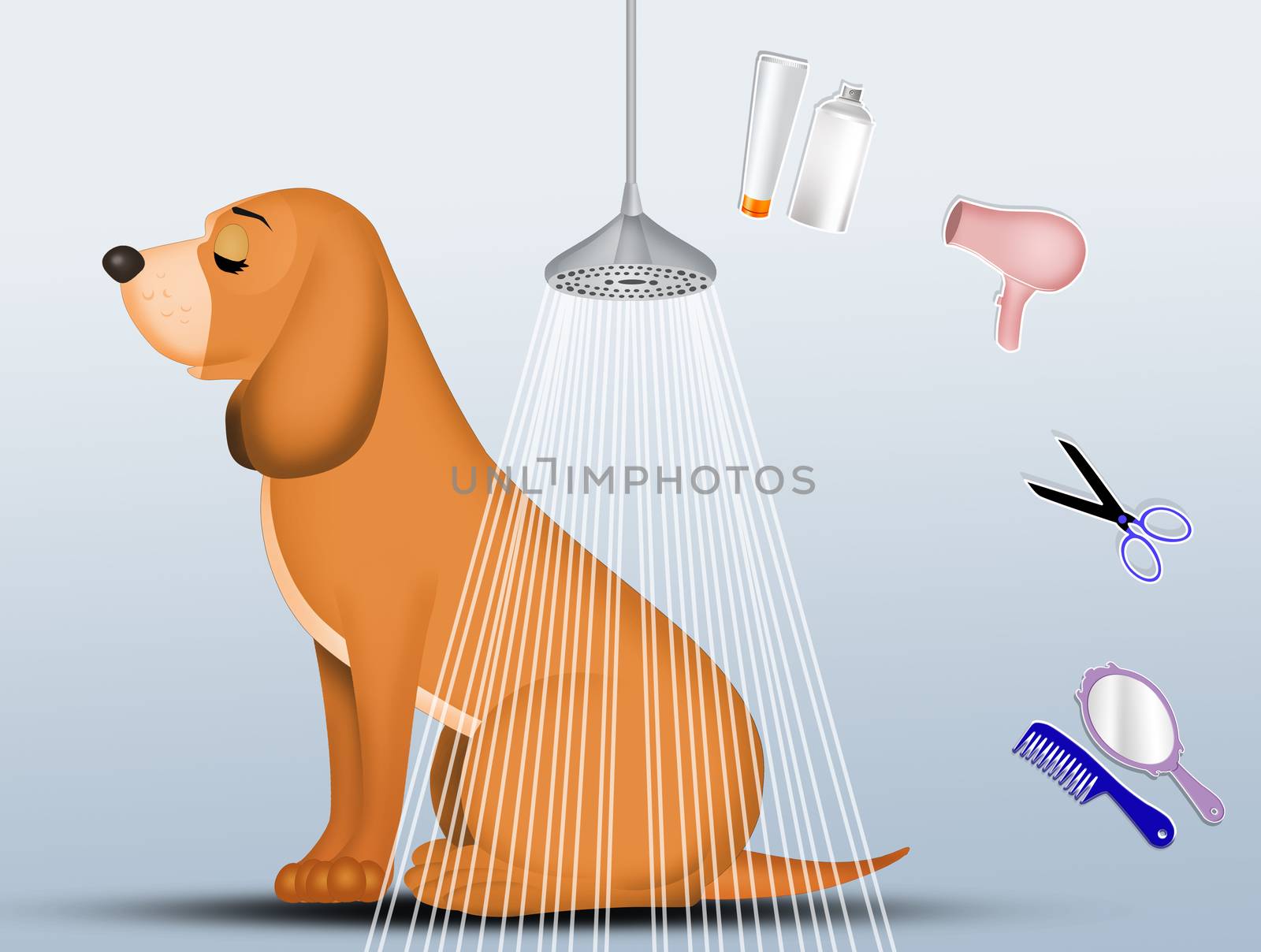 illustration of treat the dog