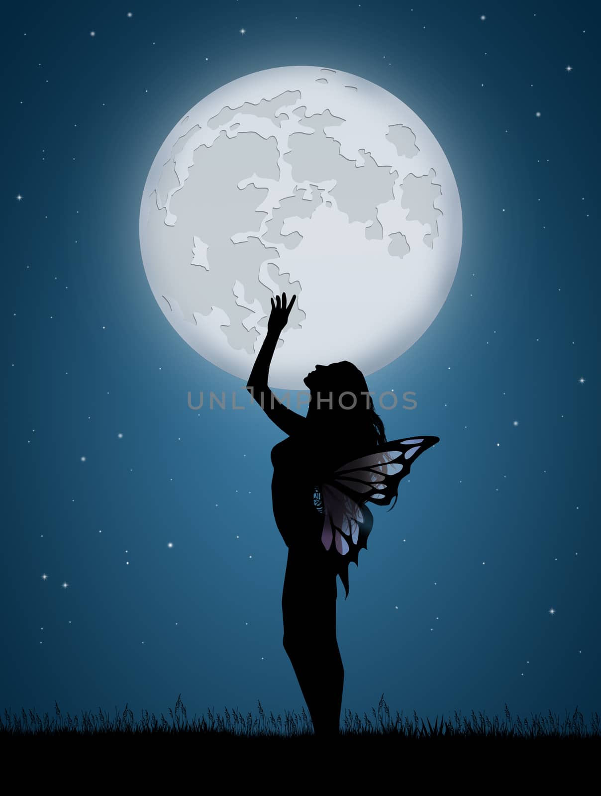 illustration of fairy in the moonlight