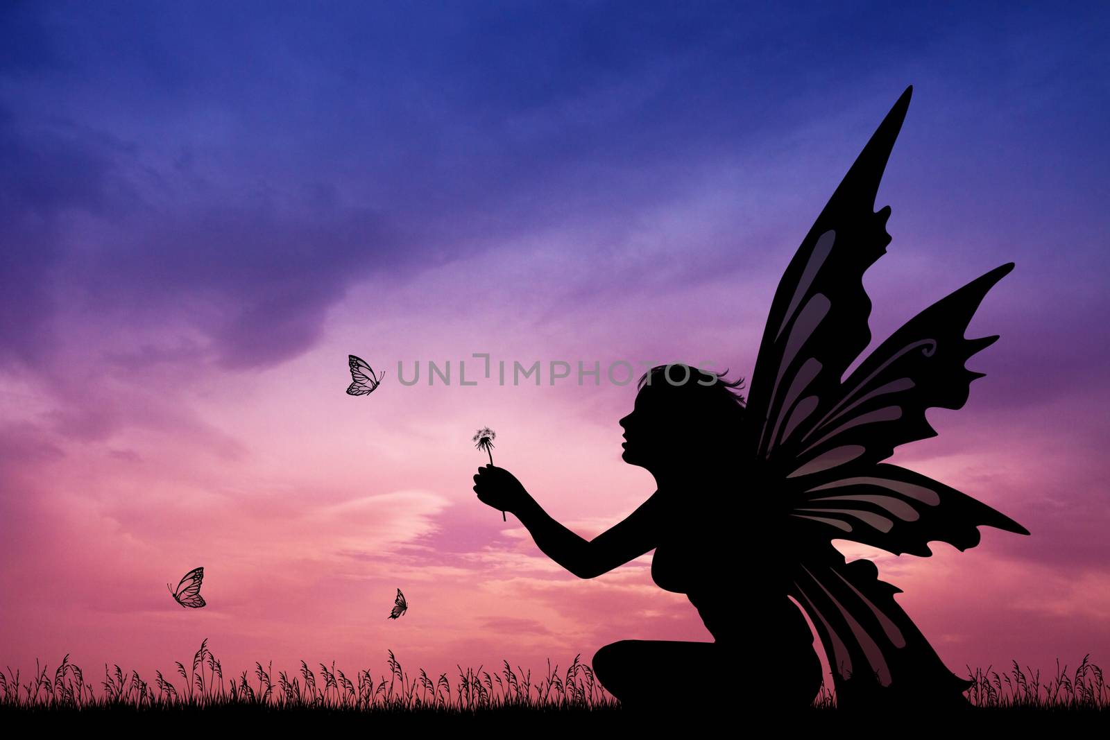 illustration of fairy silhouette
