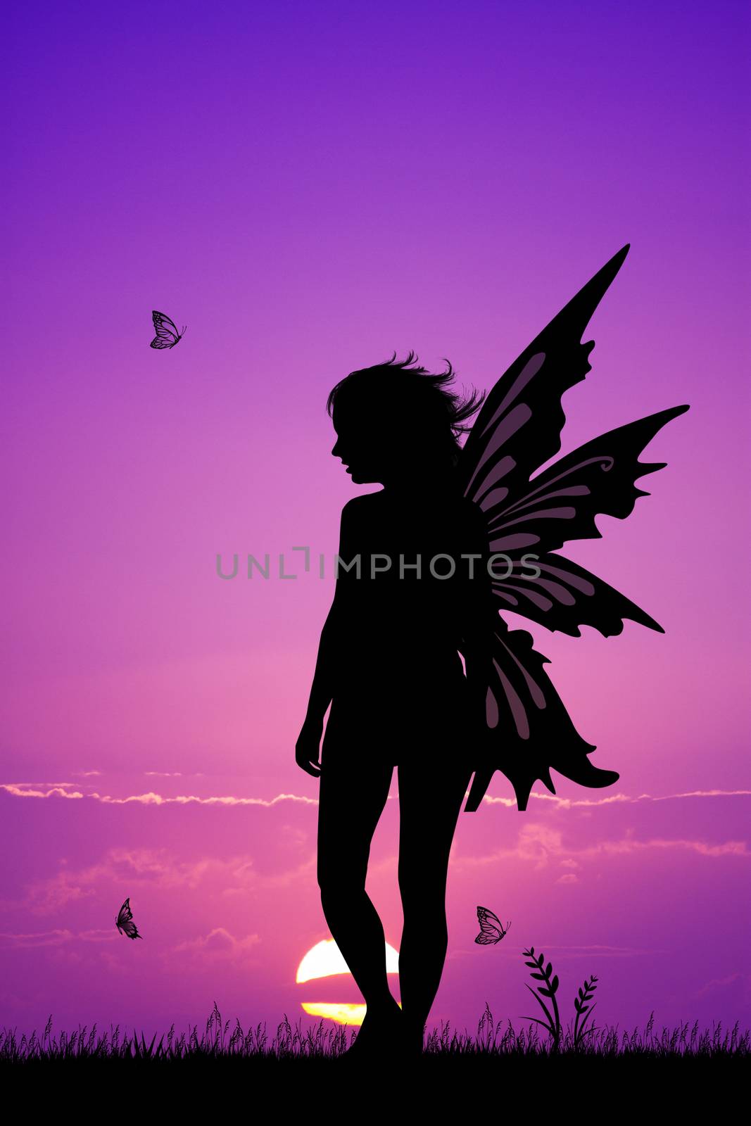 illustration of fairy at sunset by adrenalina