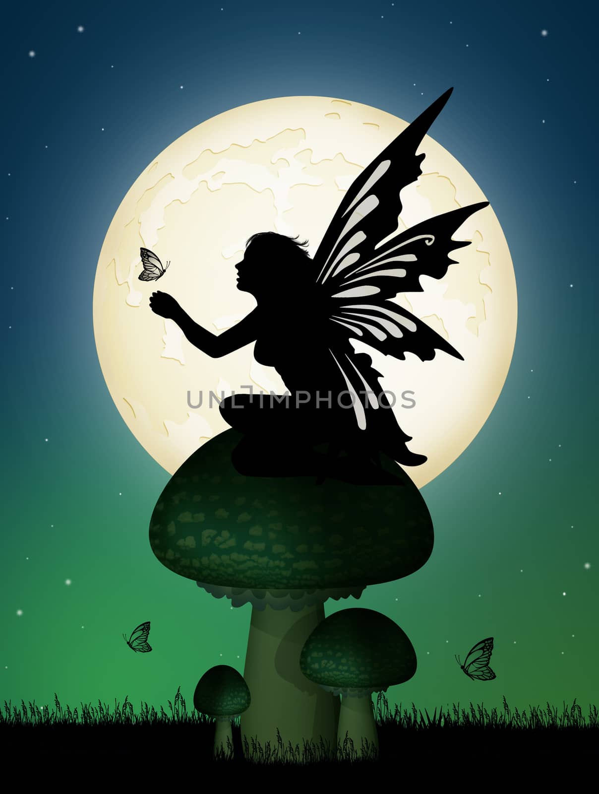 illustration of fairy in the wood by adrenalina