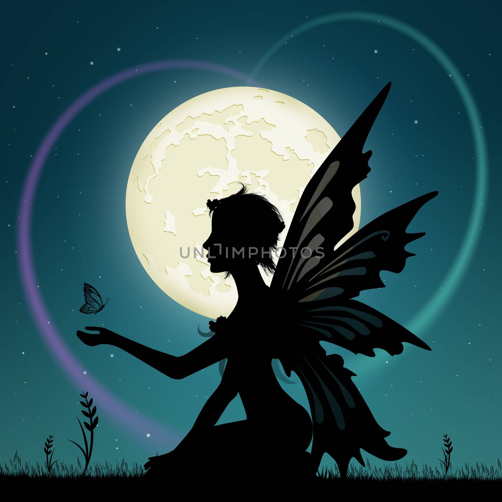 illustration of fairy in the moonlight