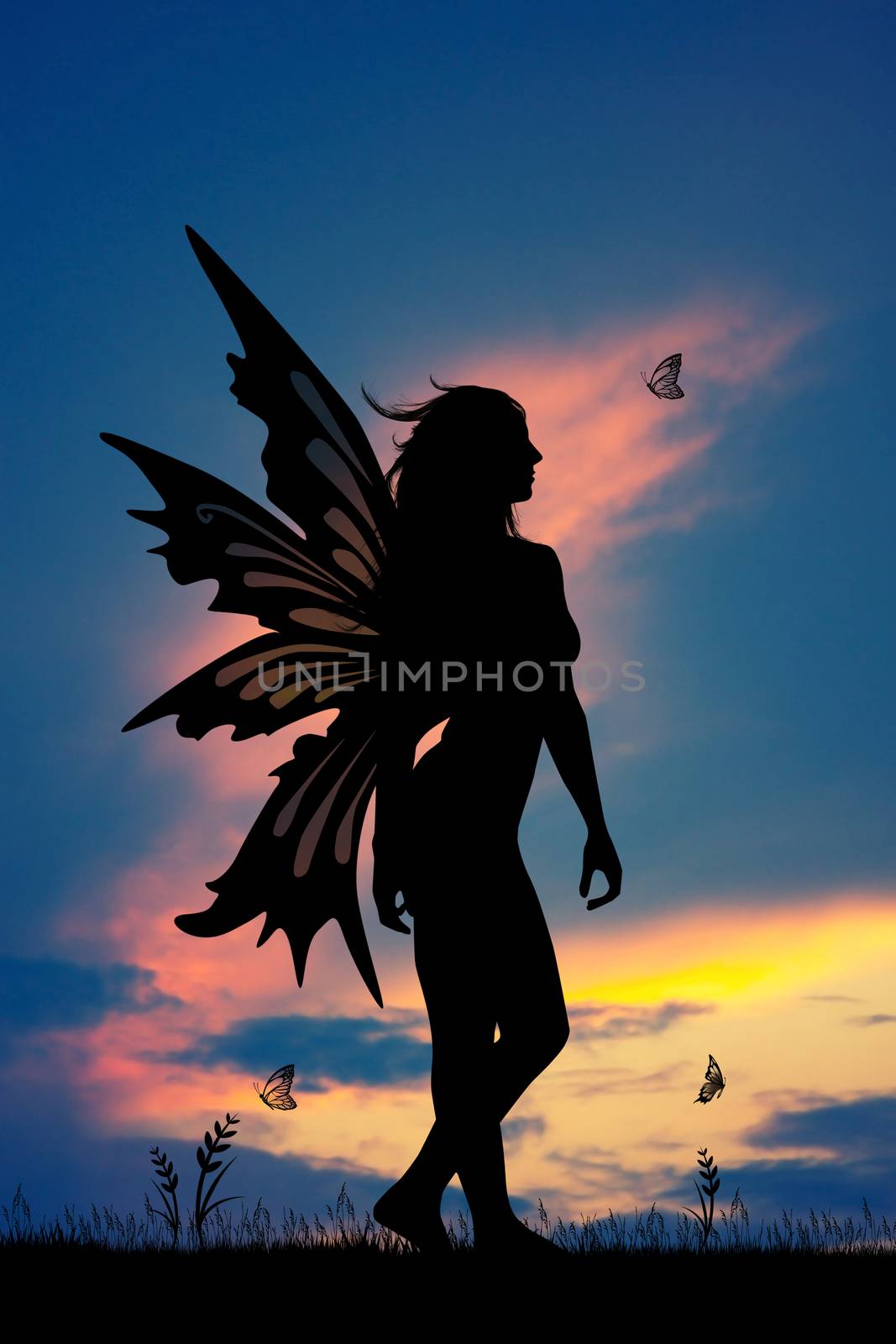 illustration of fairy at sunset
