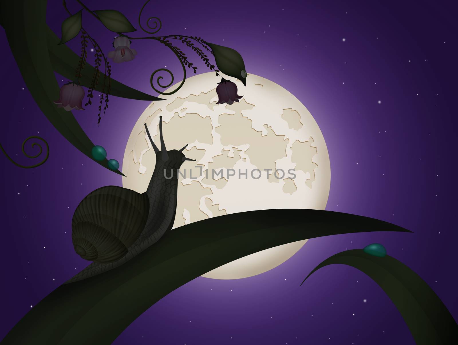 illustration of snail on leaf in the moonlight