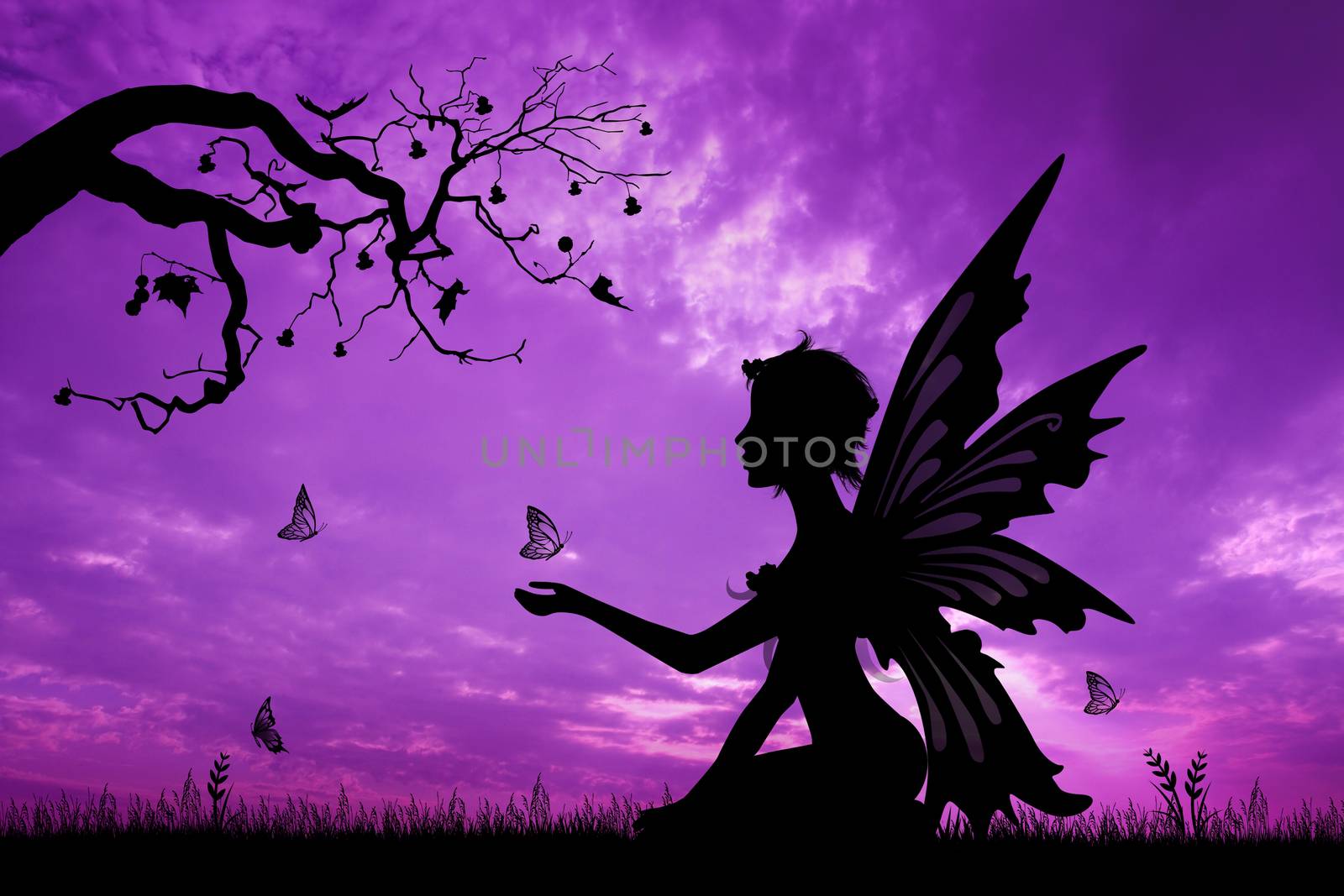 fairy silhouette at sunset by adrenalina