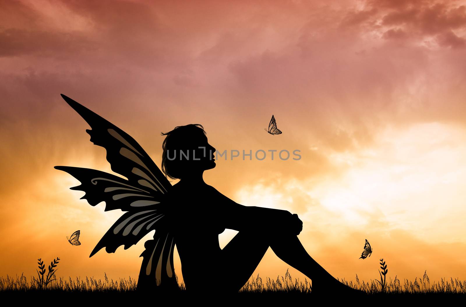 illustration of Fairy with butterflies