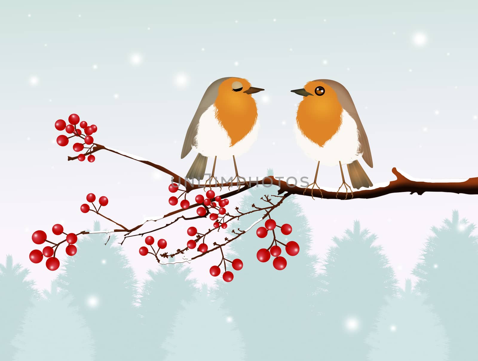 couple of robin birds in winter scenery by adrenalina