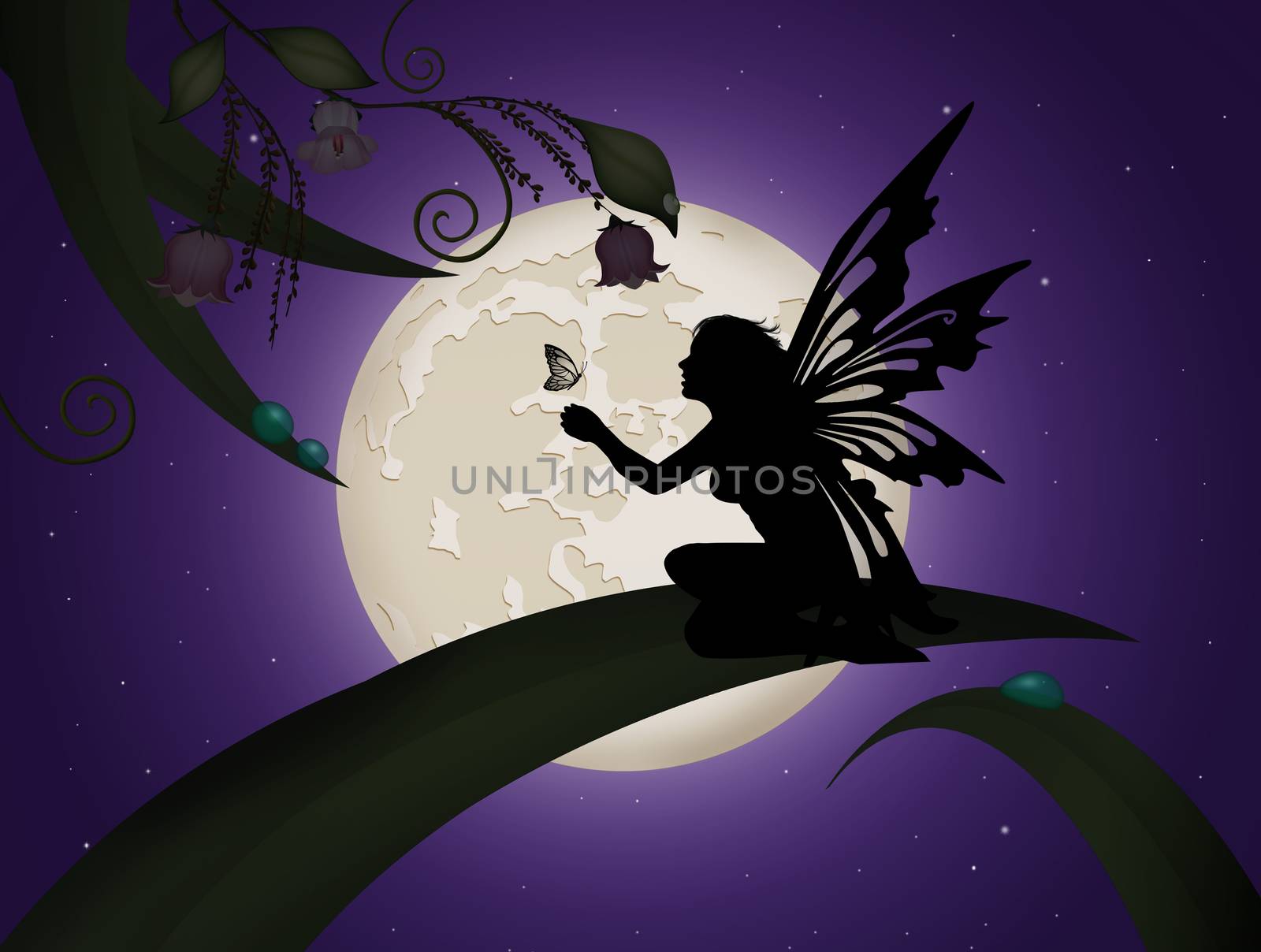 illustration of fairy on leaf in the moon