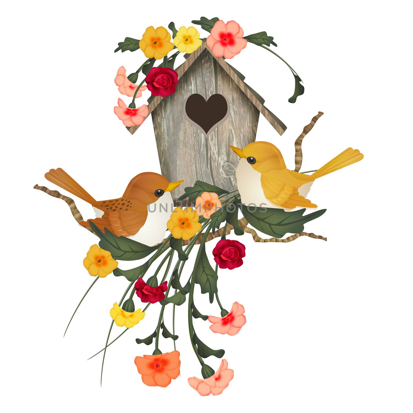 illustration of bird house by adrenalina