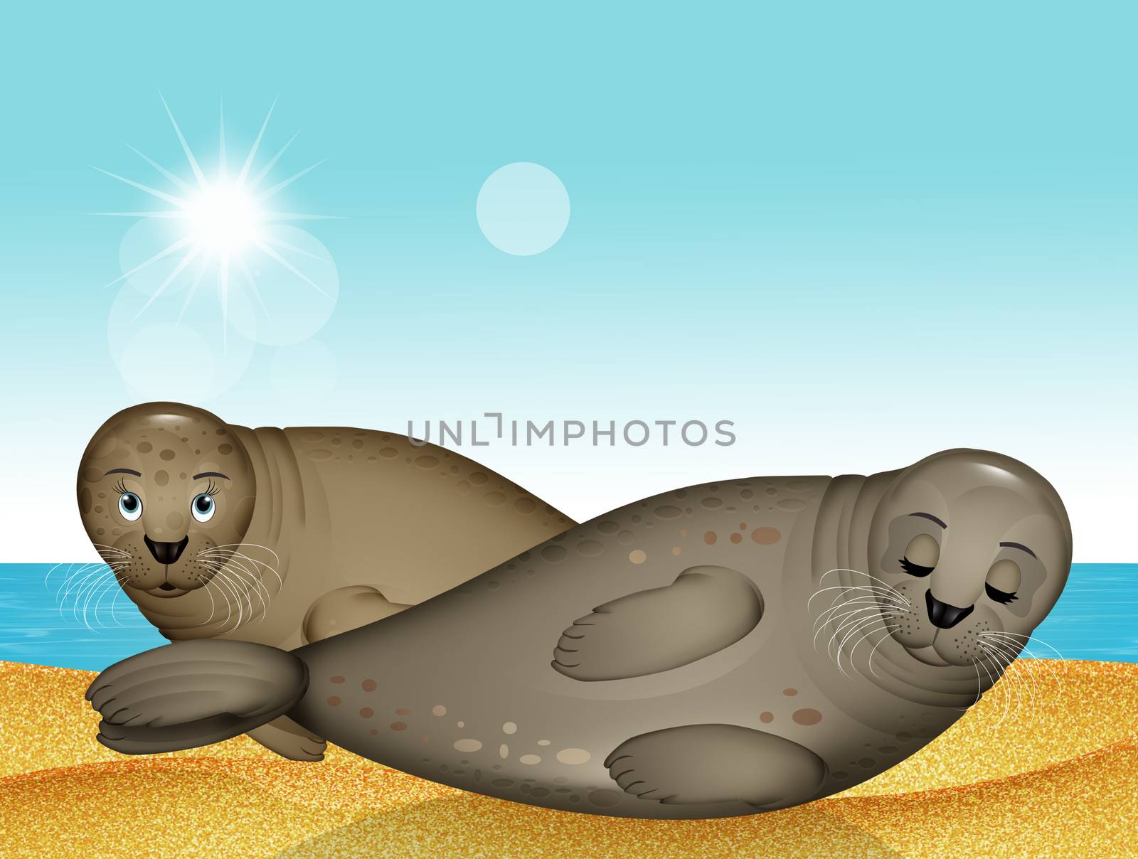 funny illustration of seals on the beach