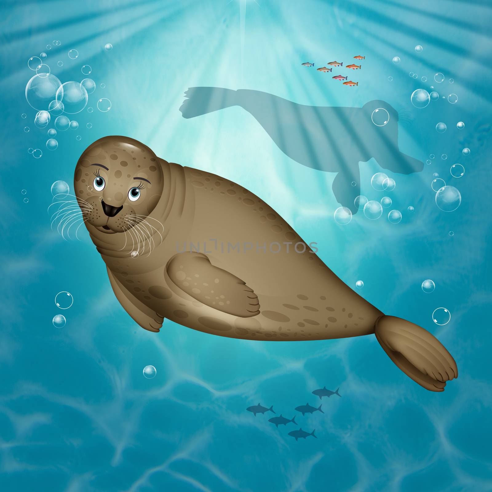illustration of walrus in the ocean