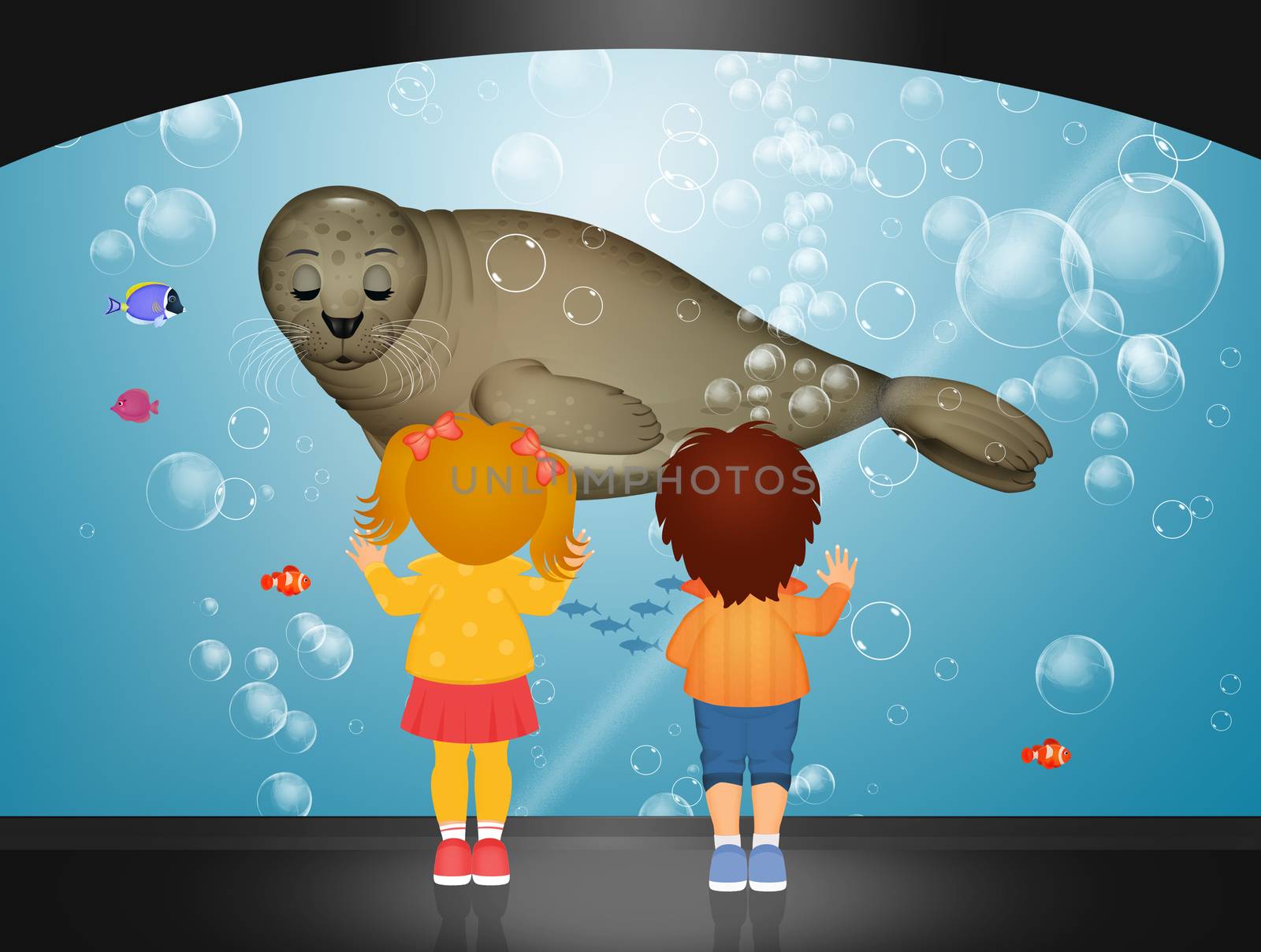 children looking seal in the aquarium by adrenalina