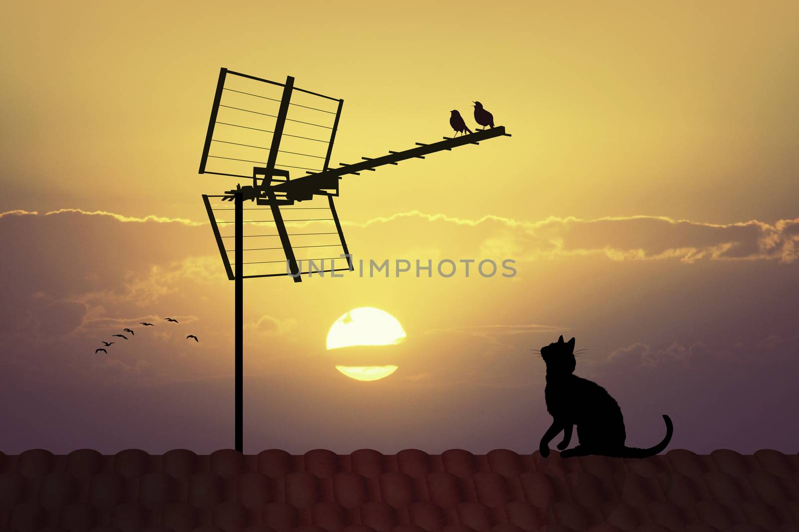 birds on TV antenna at sunset