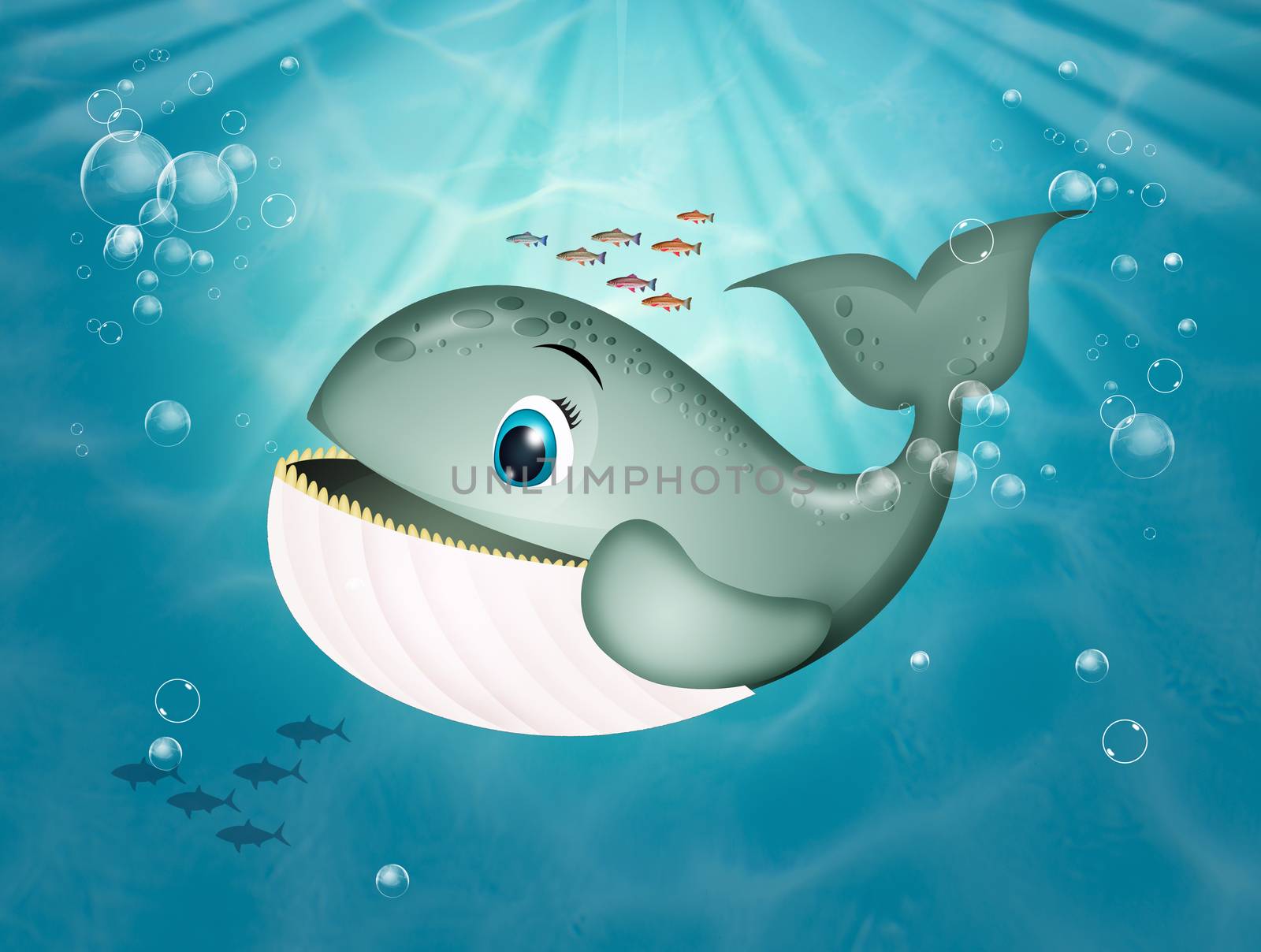 illustration of whale in the ocean
