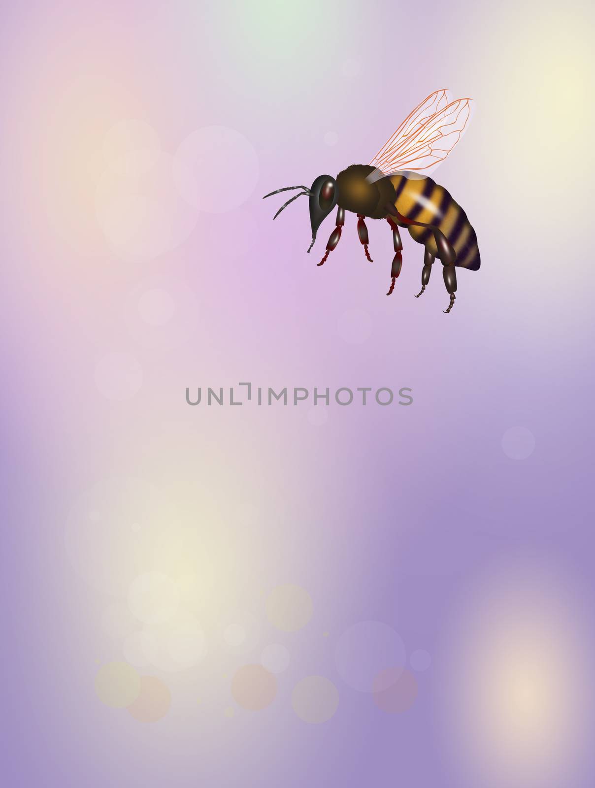 illustration of bee in flight
