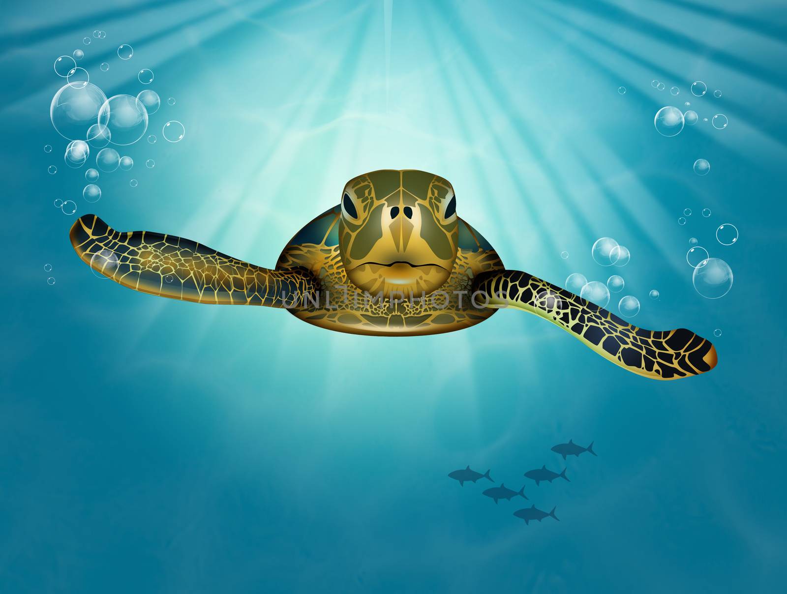 illustration of sea turtle in blue ocean