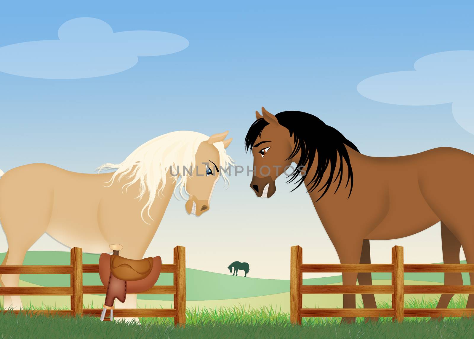 horses couple in the farm by adrenalina