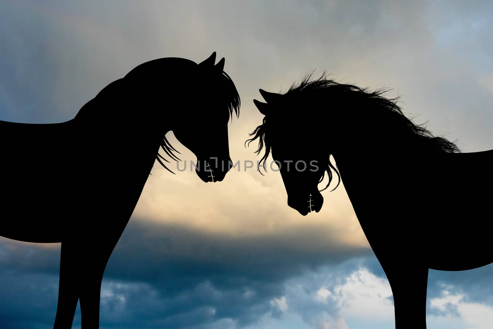 illustration of pair of horses at sunset