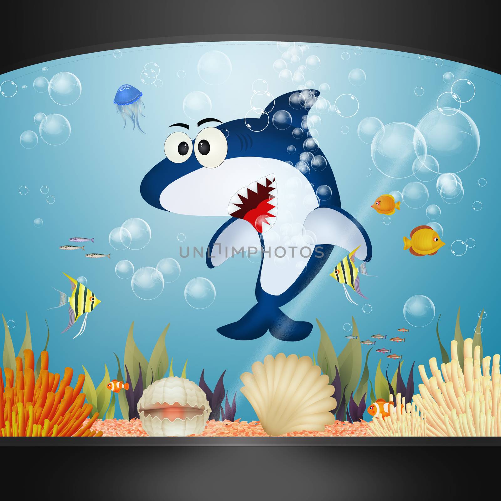illustration of shark in the aquarium