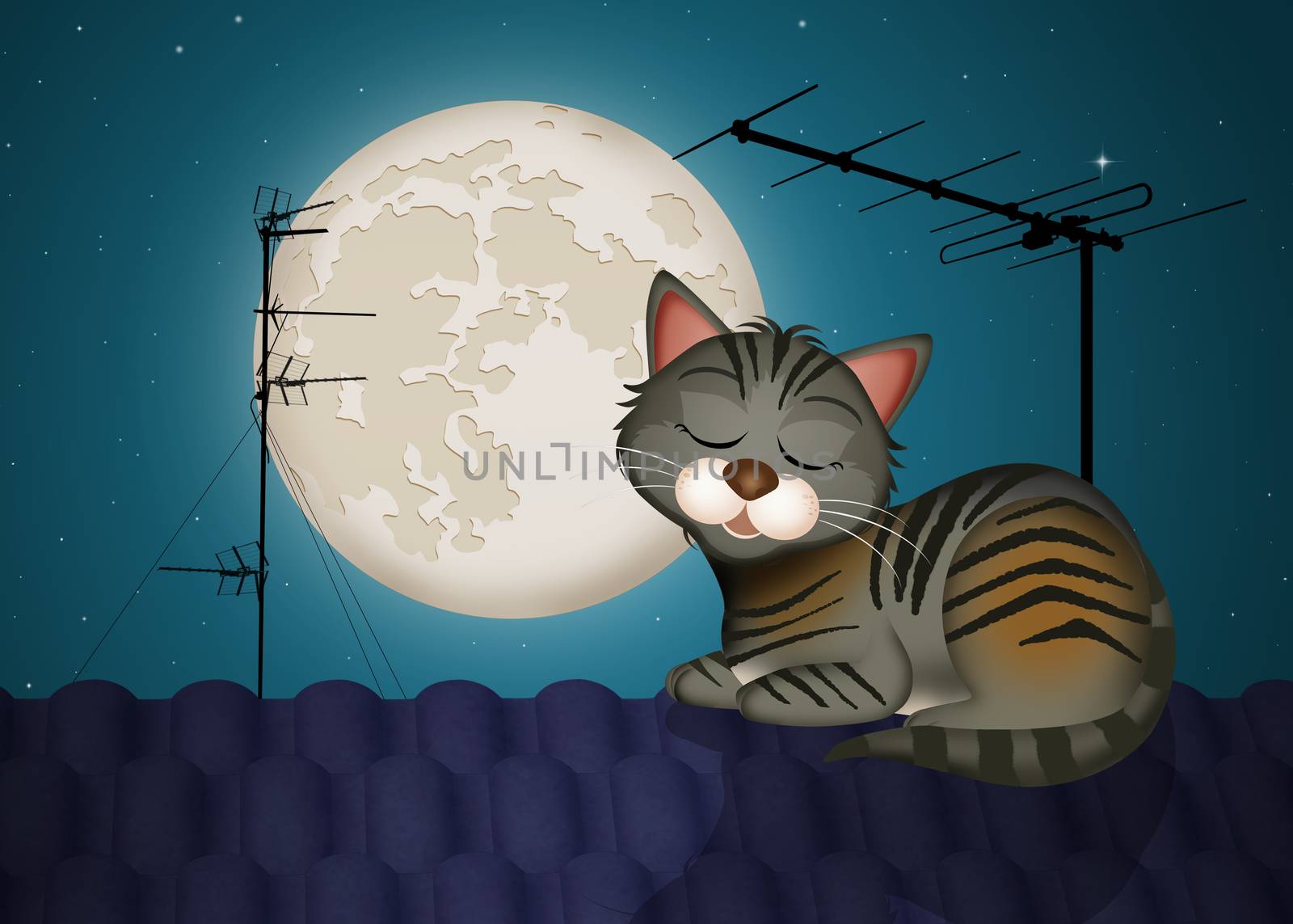illustration of cat on the roof in the moonlight