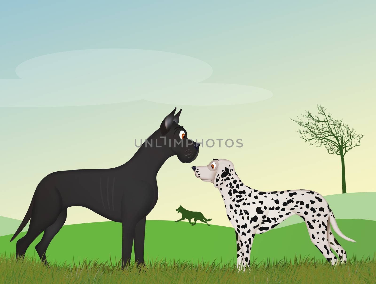 couple dogs sniff by adrenalina
