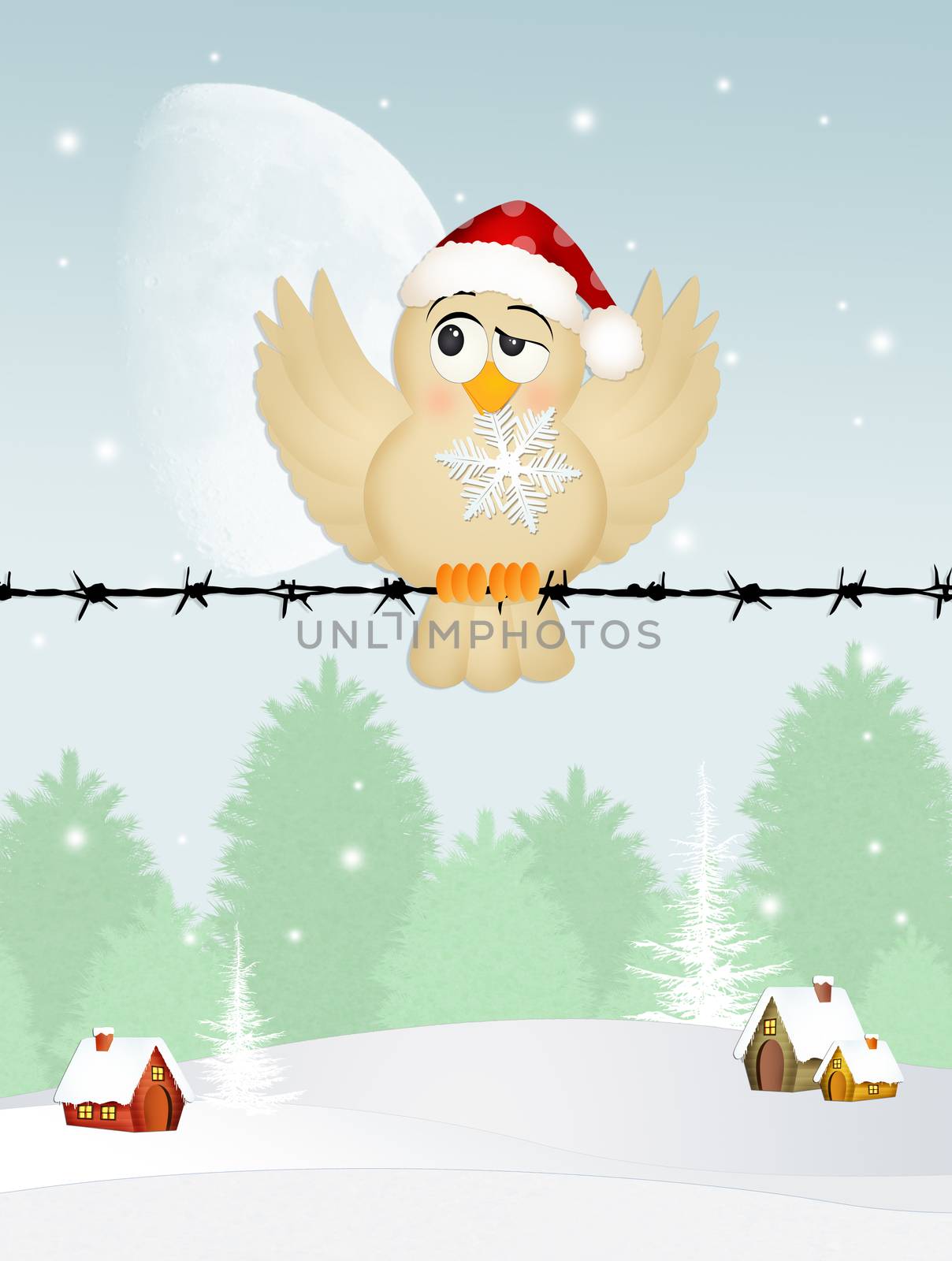 illustration of bird with snowflake in winter