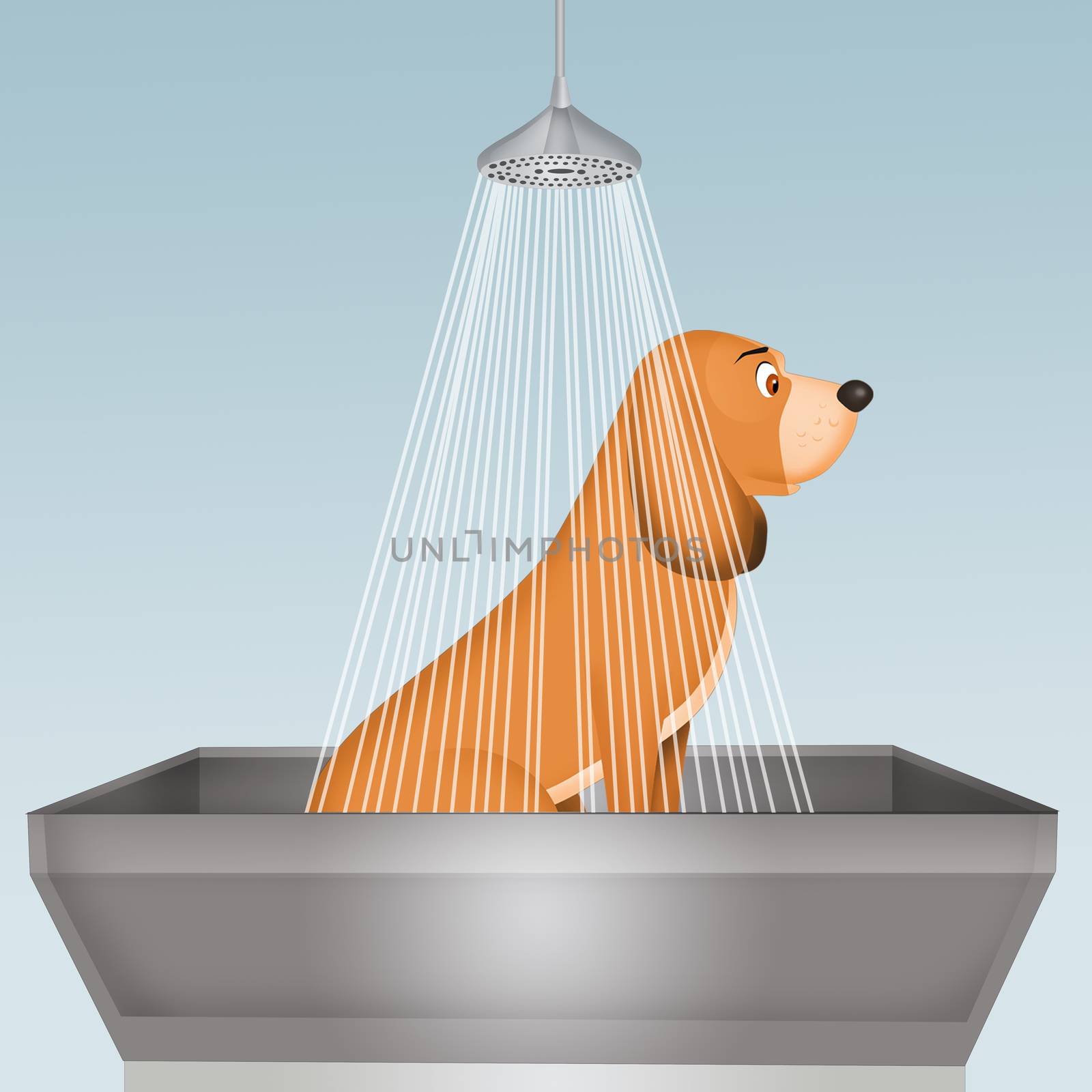 cute illustration of pet grooming