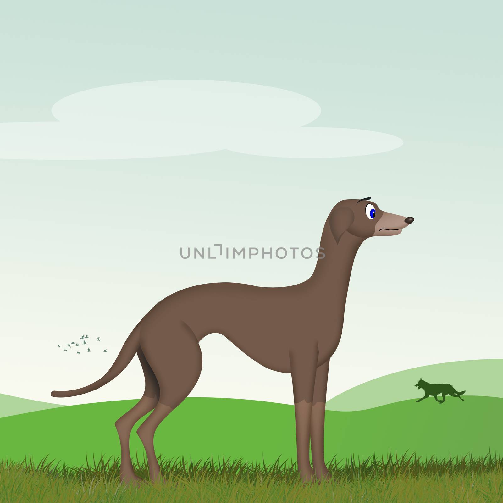 greyhound dog by adrenalina