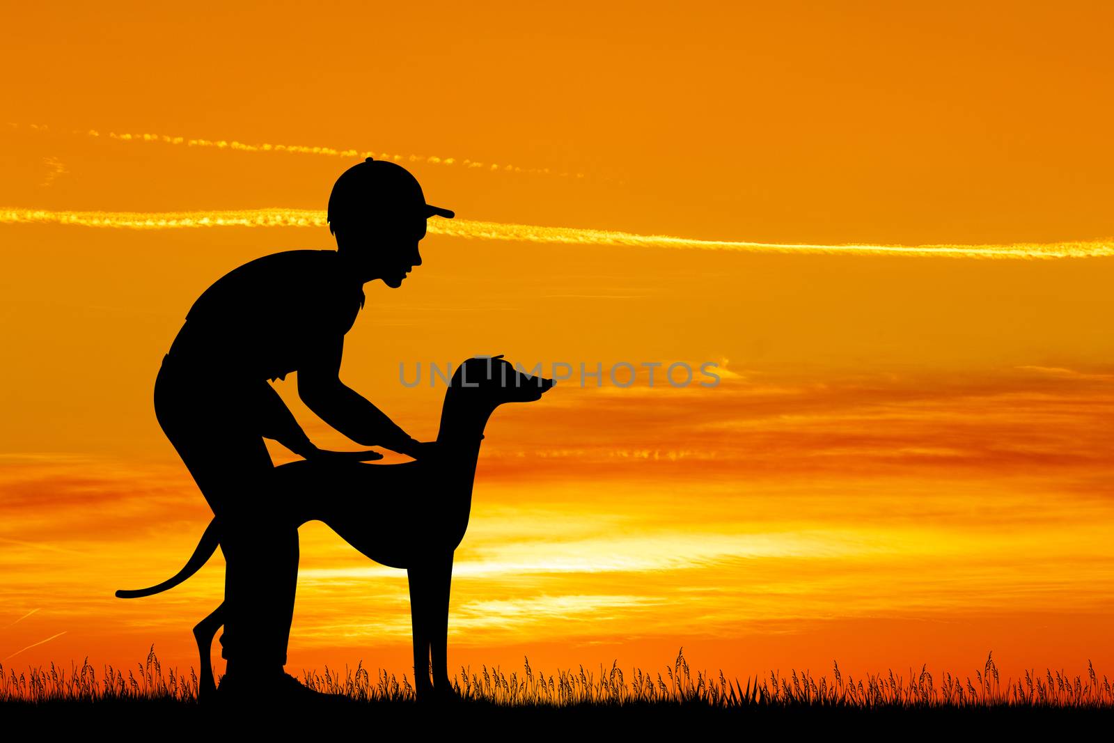 illustration of trainer dog at sunset