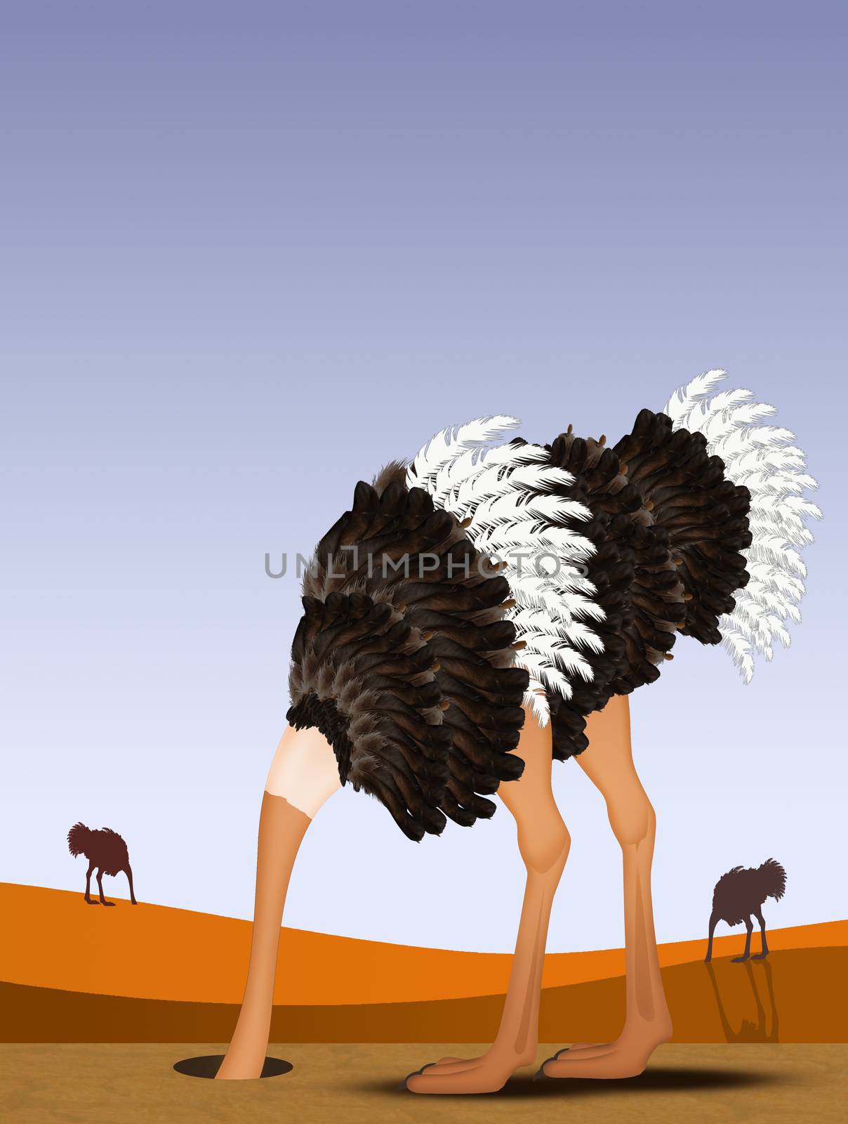 ostrich with his head in the sand by adrenalina