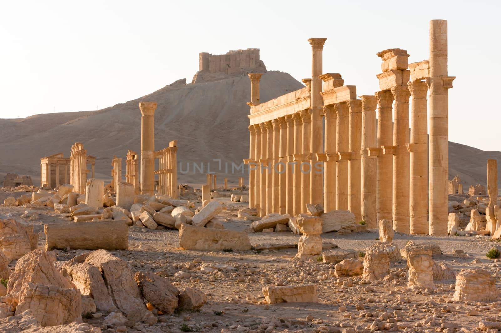 Palmyre Syria 2009 This ancient site has many Roman ruins, these standing columns shot in late afternoon sun with the citadel on the hill in the background . High quality photo