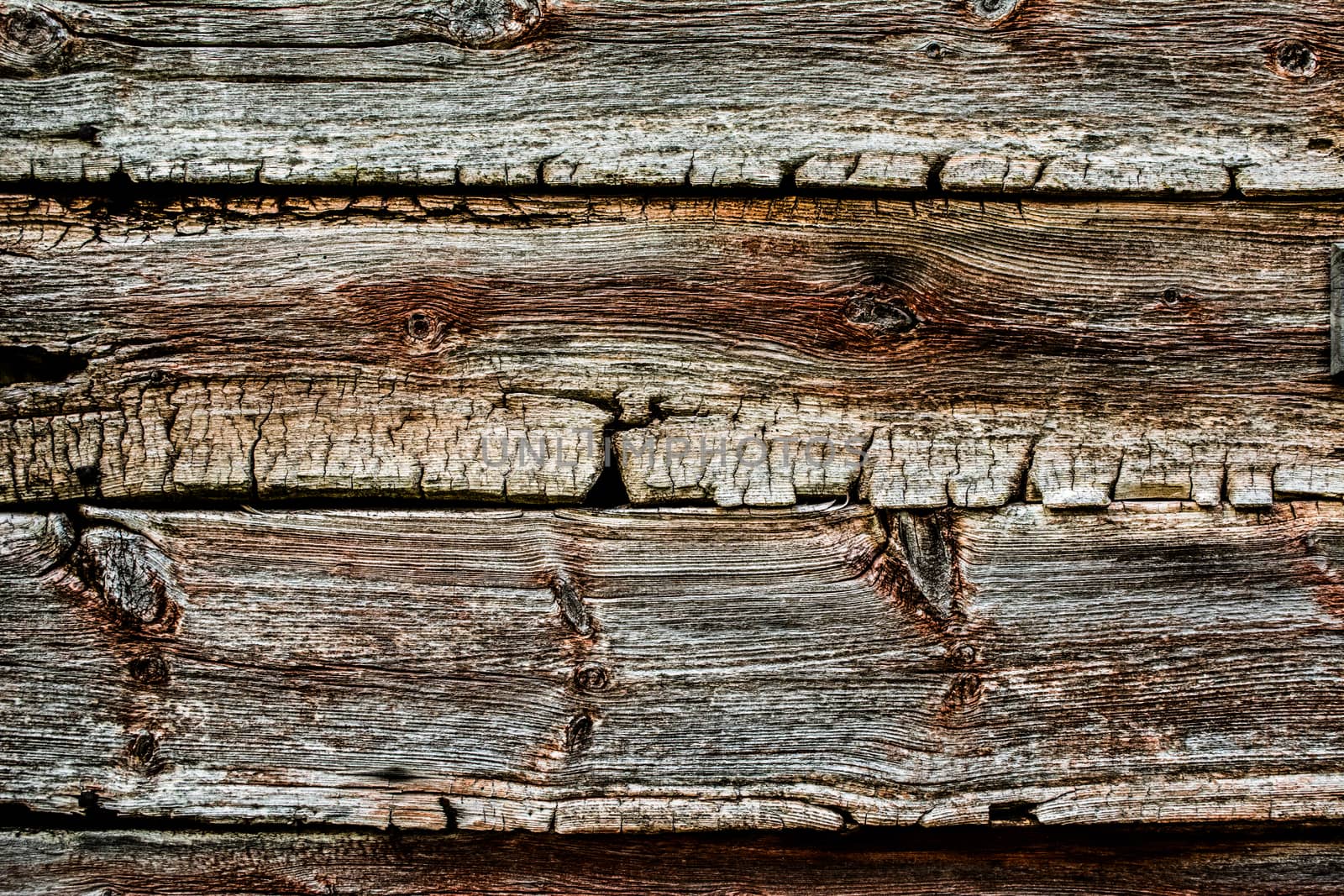 Old, weathered and worn wood texture plank with cracks and bursts