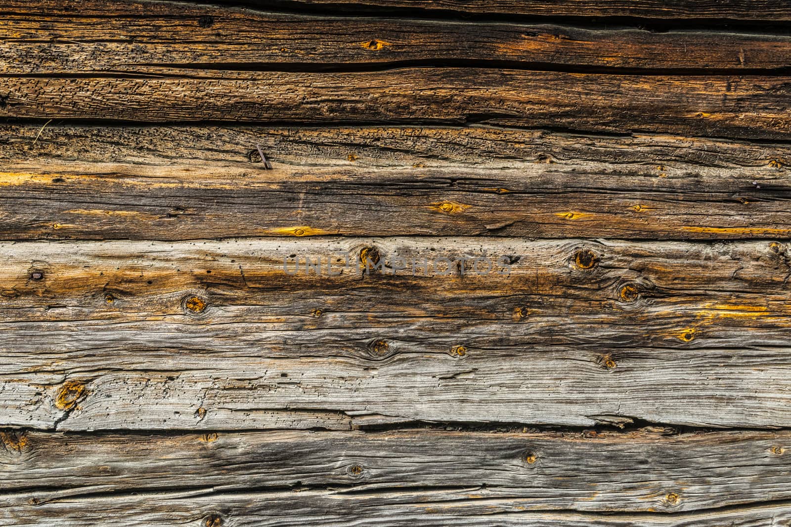 Old, weathered and worn wood texture plank with cracks and bursts