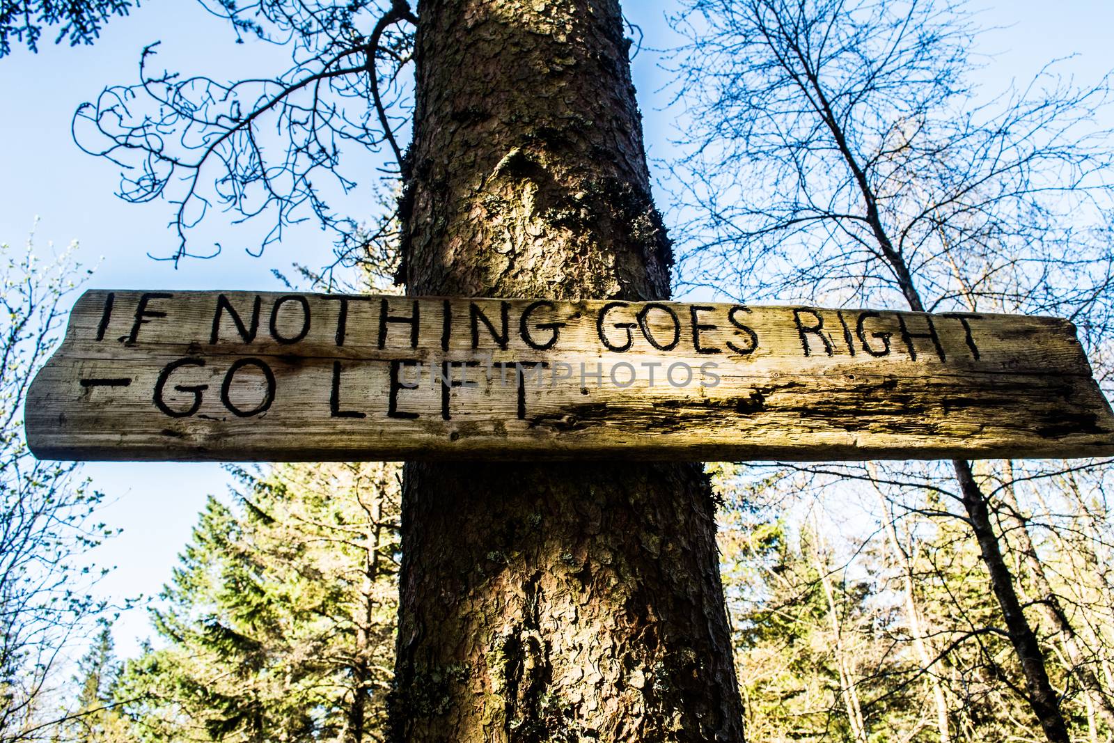 If nothing goes right, then go left wooden sign in the forest attached to a tree.