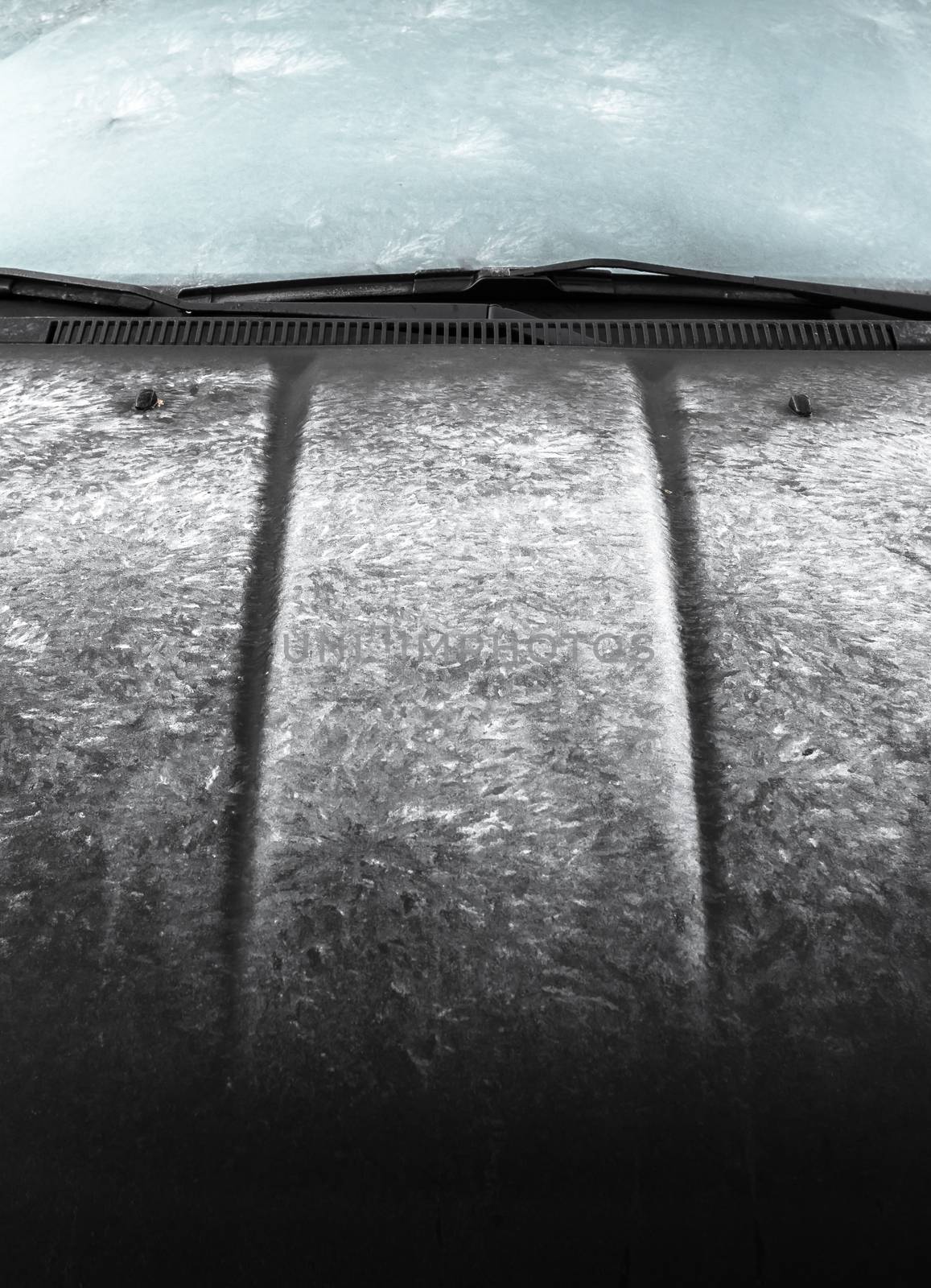 Close-up of an icy car. Ideal for concepts.