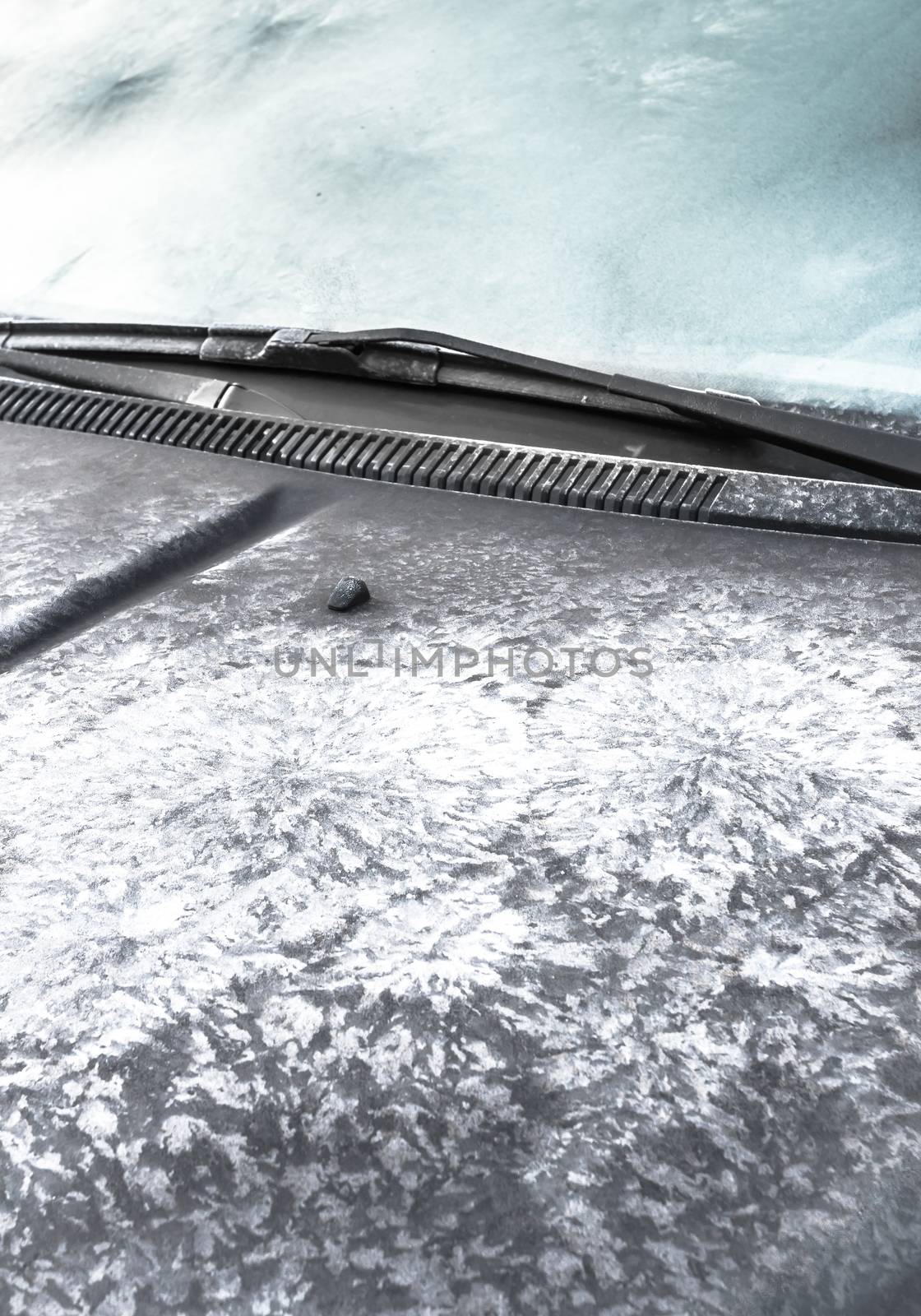 Close-up of an icy car. Ideal for concepts.