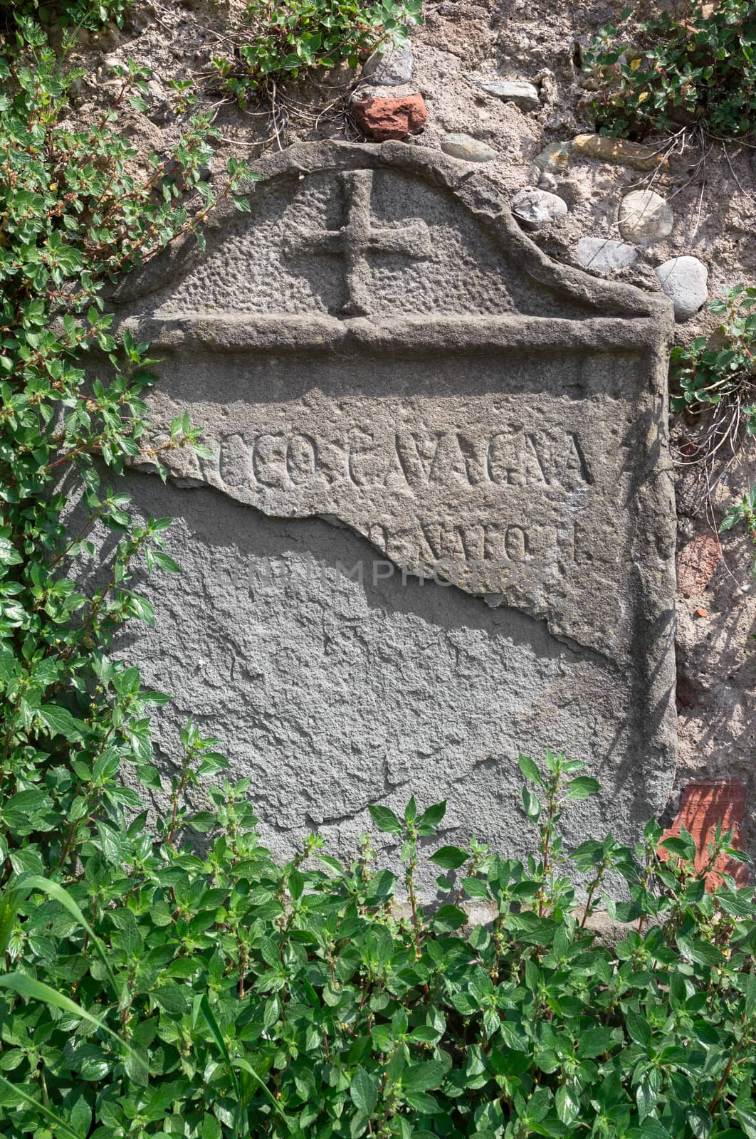Cemetery. Old grave stone with route inscription. Over time, plants have grown around it.
