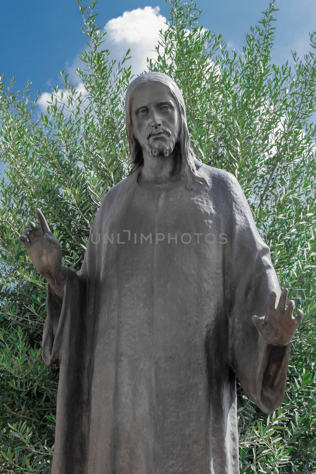 Old bronze Jesus Christ statue in a old cemetery with olive tree in the background
