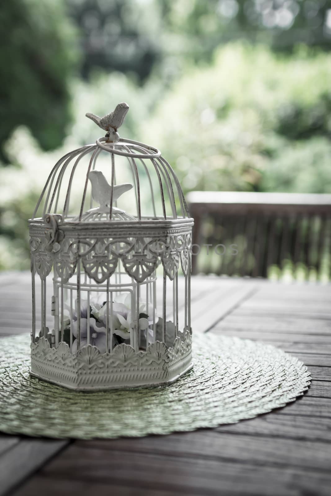 An old aviary garden, used as a flower pot.