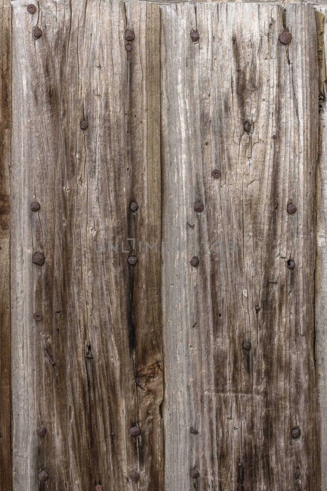Old panel wood with rusty nails.