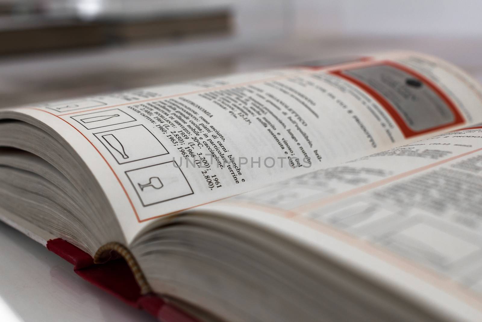 Extreme close-up of an open book, on blurred background.