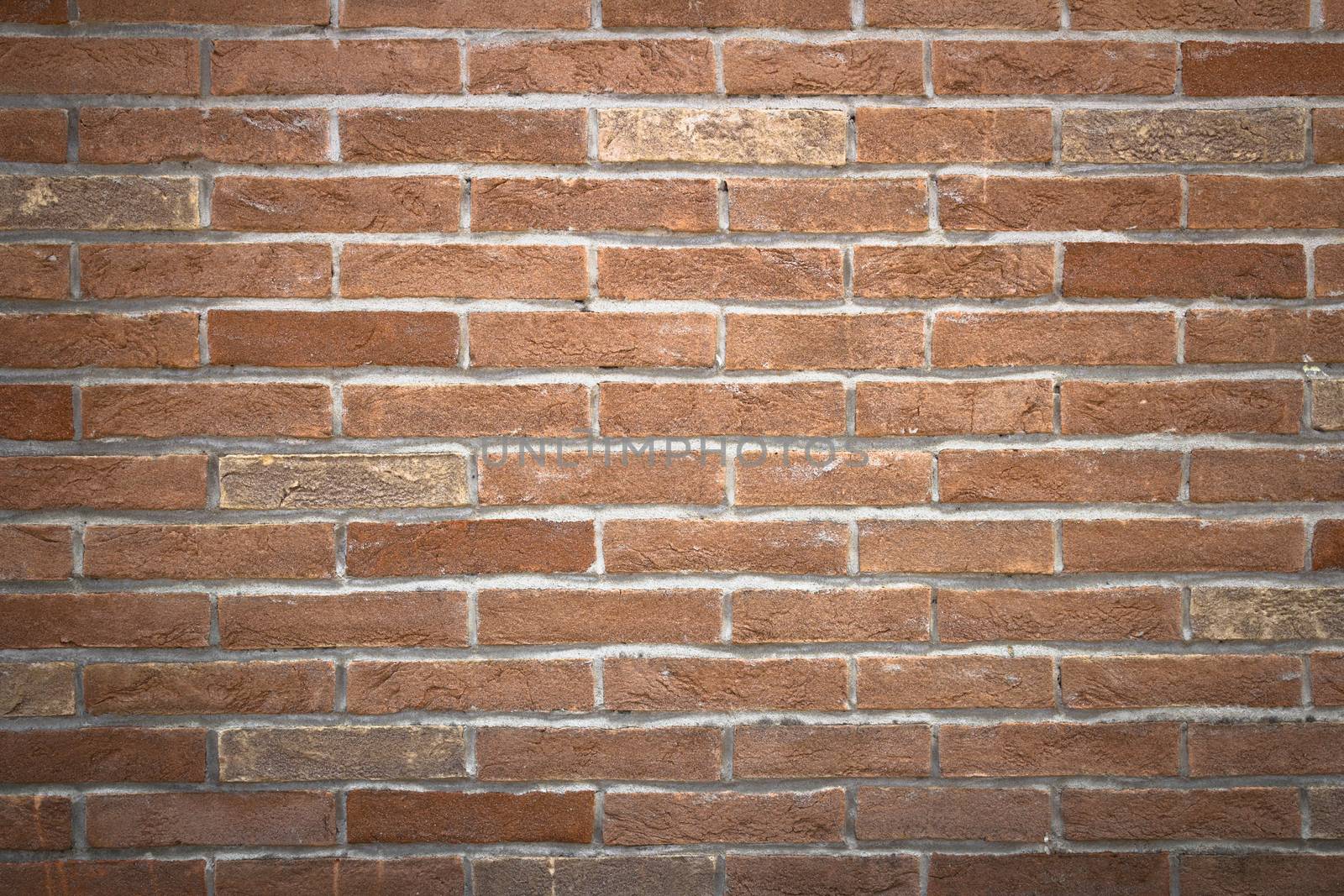 Front view of a wall composed of clay bricks.