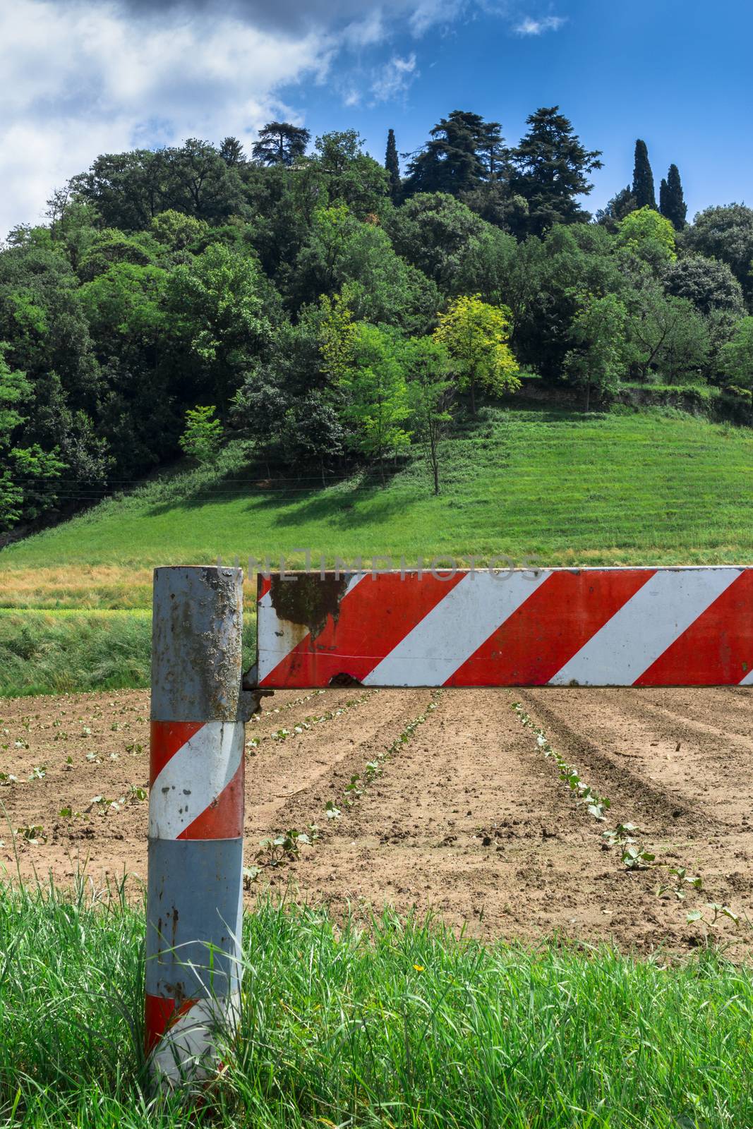 A red and white barrier blocks access to a cultivated field.