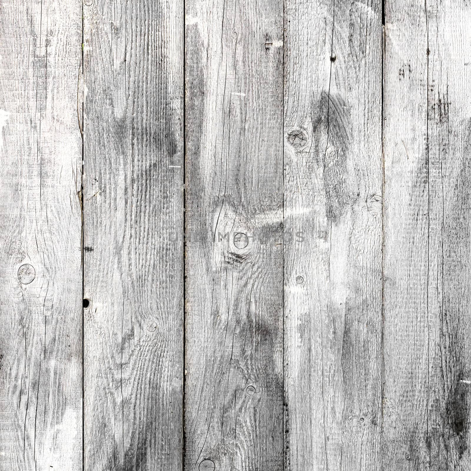 White wood texture backgrounds old vintage scratched weathered wooden wall