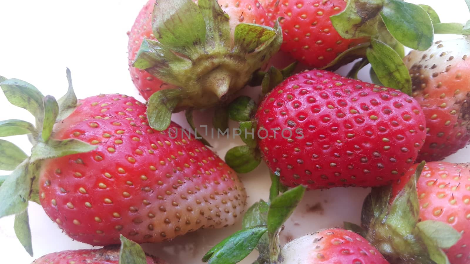 Top view with selective focus of sweet fresh strawberries with green leaves in plate on rustic white background.