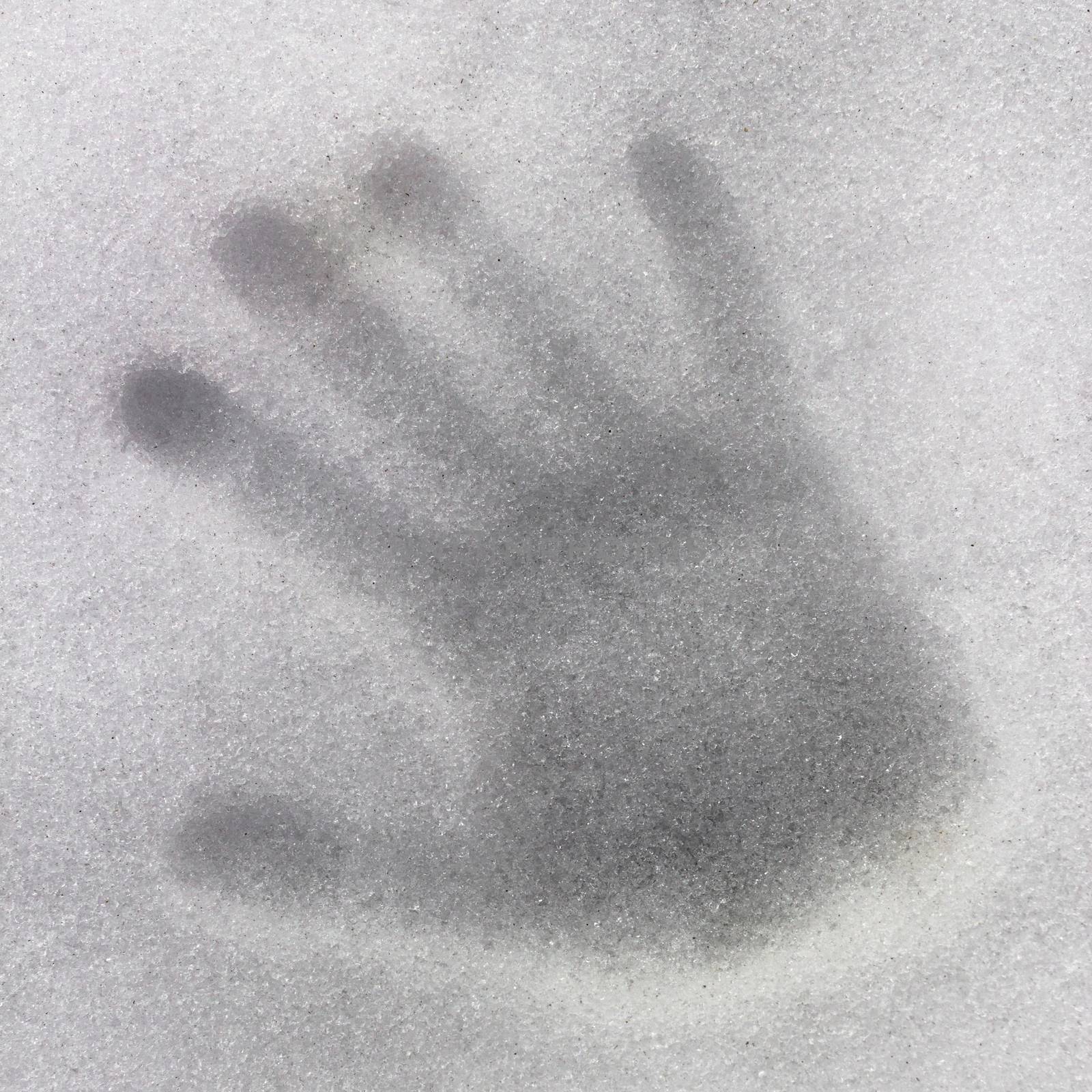 Handprint snow by germanopoli