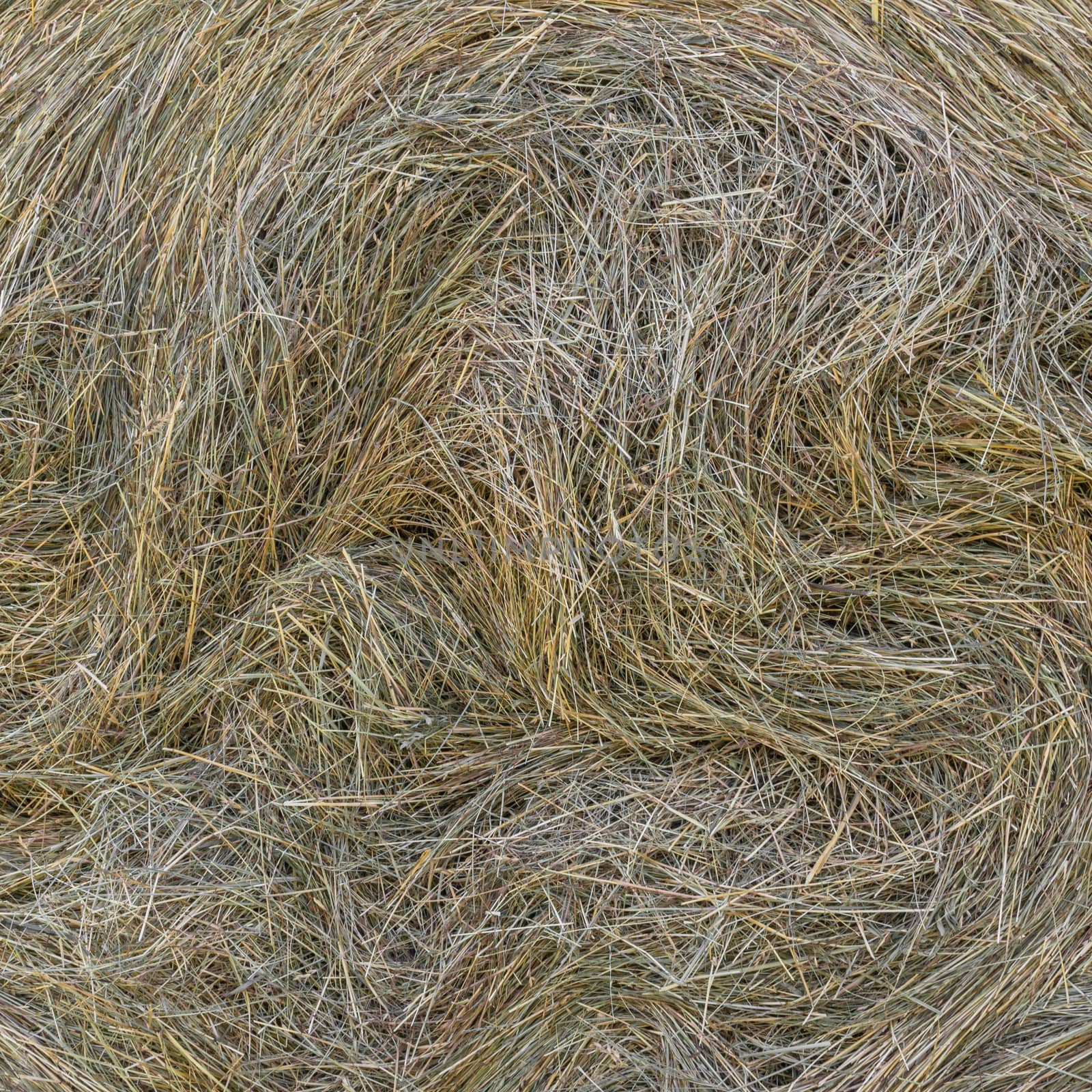 Detail of a big bale of hay after harvest.