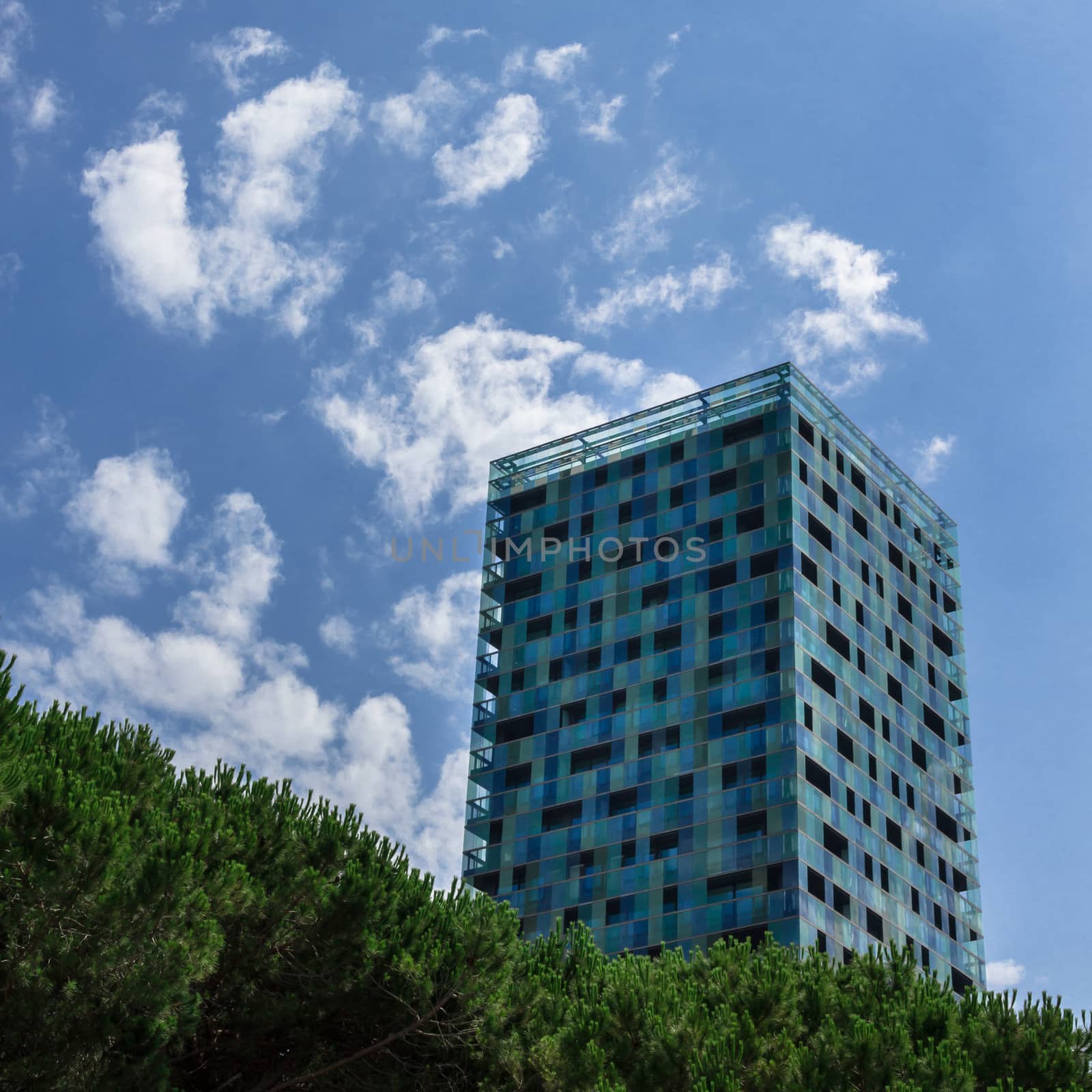 A skyscraper with modern style emerges from a group of trees.